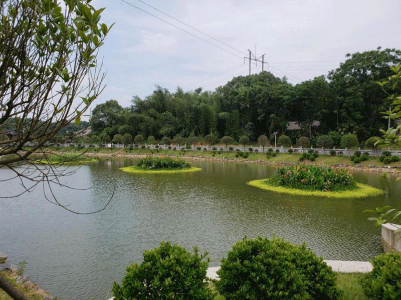 人工湿地及清水型湿地施工